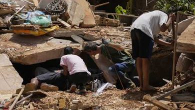 Bild von Chaotische Urbanisierung hinter der Lawinentragödie in Brasilien;  mindestens 117 verstorben