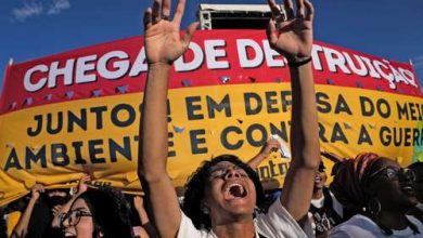 Bild von Caetano Veloso führt den Protest gegen Bolsonaros Umweltpolitik an