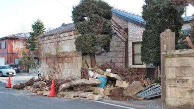 Bild von La Jornada: Erdbeben in Japan